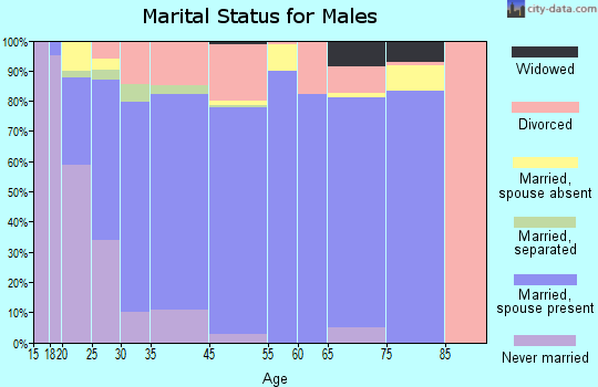 Archdale marital status for males