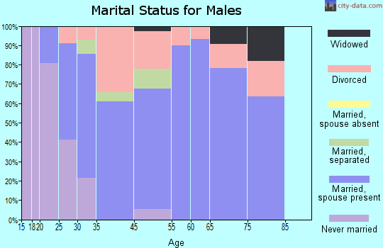 Arlington marital status for males