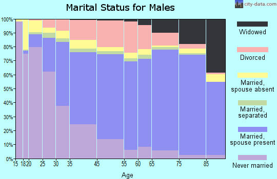 Asheville marital status for males