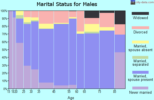 Van Buren marital status for males