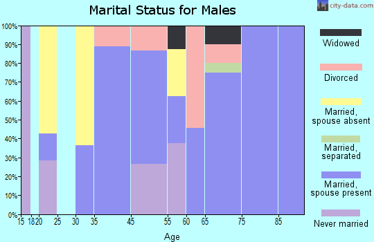 Bakersville marital status for males