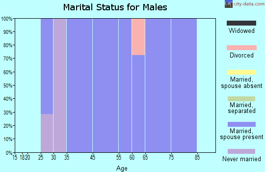 Bald Head Island marital status for males