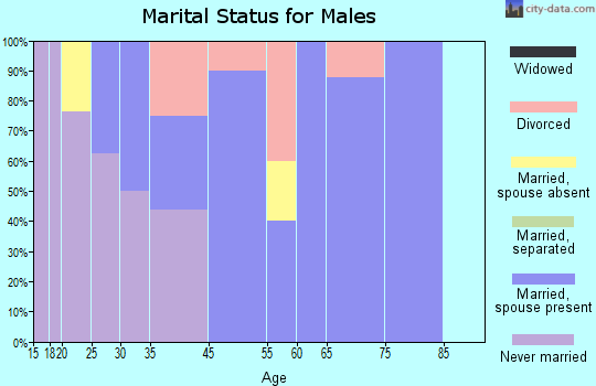 Beech Mountain marital status for males