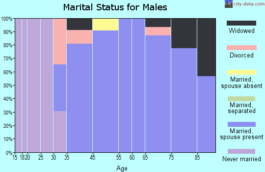 Bermuda Run marital status for males