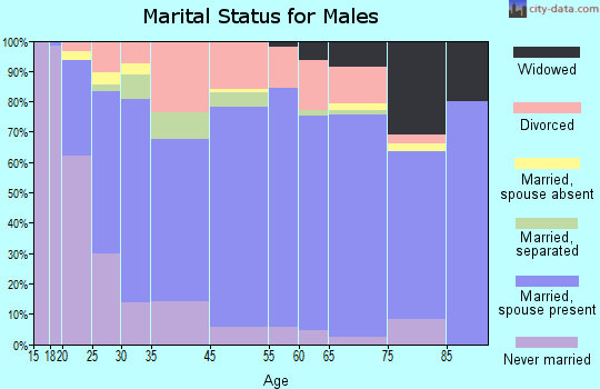 Bessemer City marital status for males