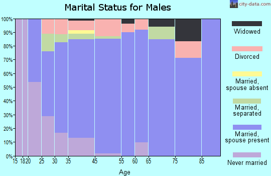 Bethlehem marital status for males