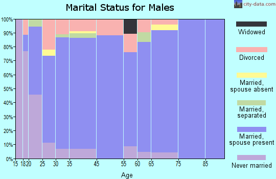 Vilonia marital status for males
