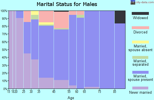 Blowing Rock marital status for males