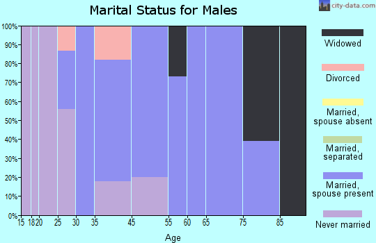 Boger City marital status for males