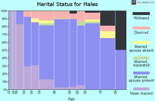 Boiling Spring Lakes marital status for males
