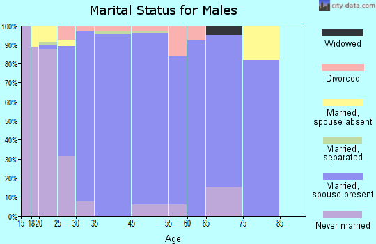 Boiling Springs marital status for males