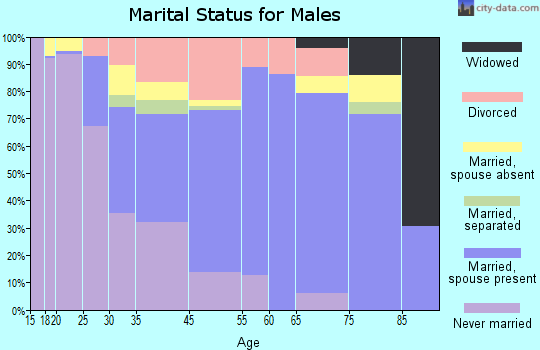 Boone marital status for males