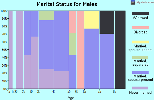 Wabbaseka marital status for males