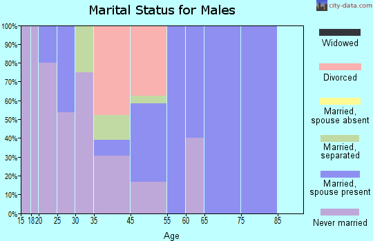 Bridgeton marital status for males