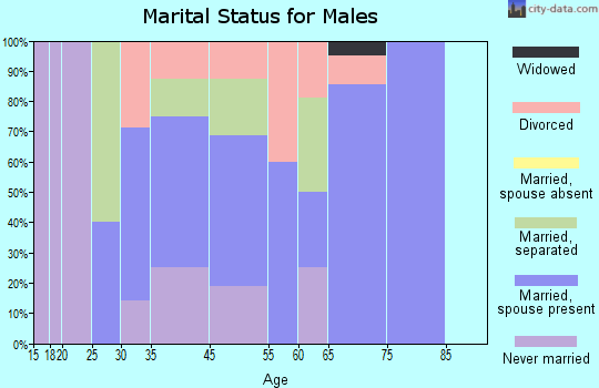 Brunswick marital status for males