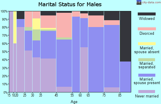 Bryson City marital status for males