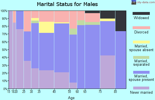 Burnsville marital status for males