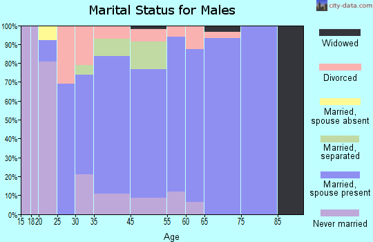 Chocowinity marital status for males
