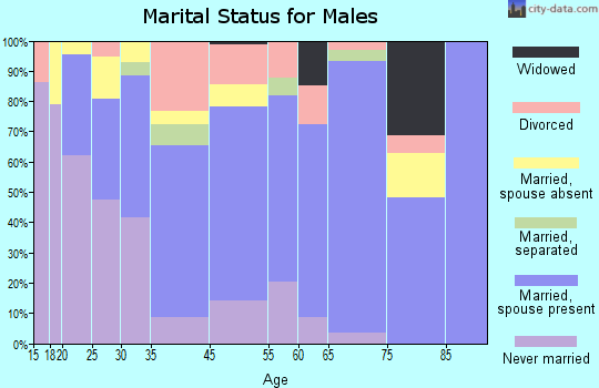 East Flat Rock marital status for males