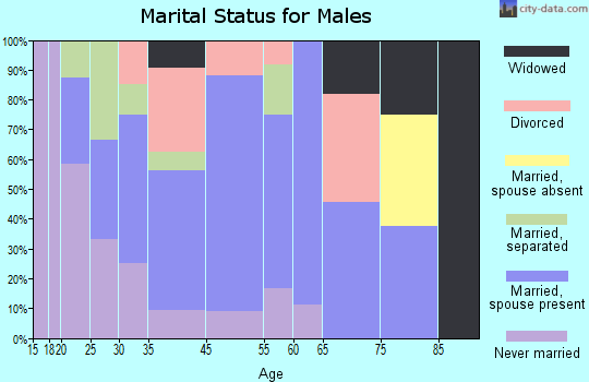Ellenboro marital status for males