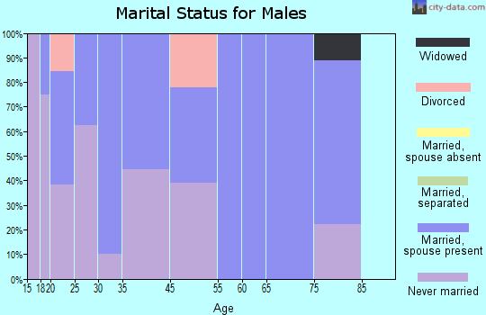 Hayesville marital status for males