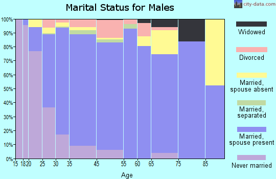 Huntersville marital status for males