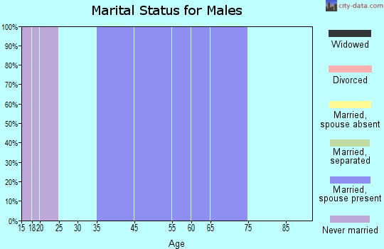 JAARS marital status for males
