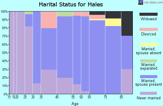 Lake Lure marital status for males