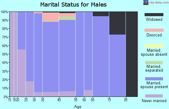 Lake Park marital status for males