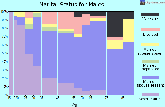 Lenoir marital status for males