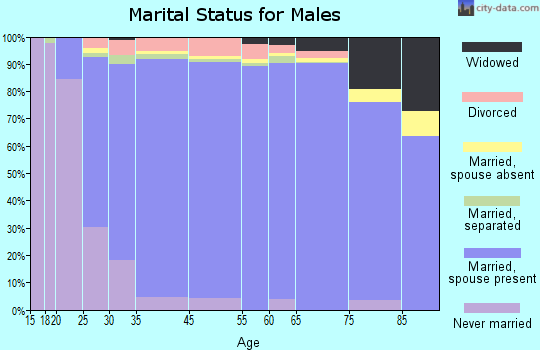 Lewisville marital status for males