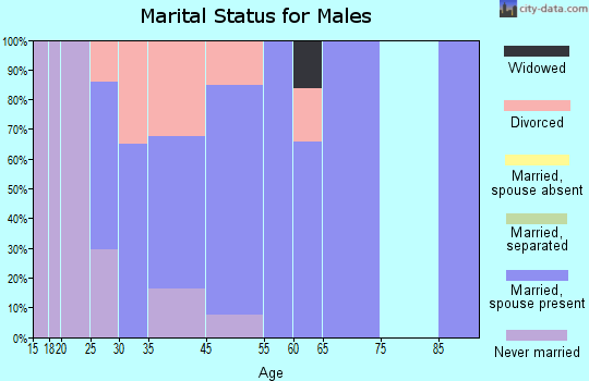 Lowesville marital status for males