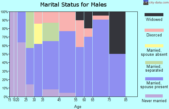 McAdenville marital status for males