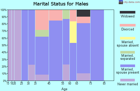 McLeansville marital status for males
