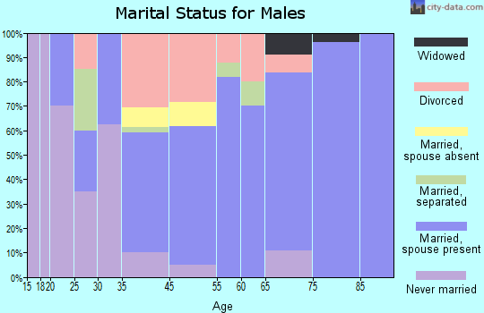 Maggie Valley marital status for males