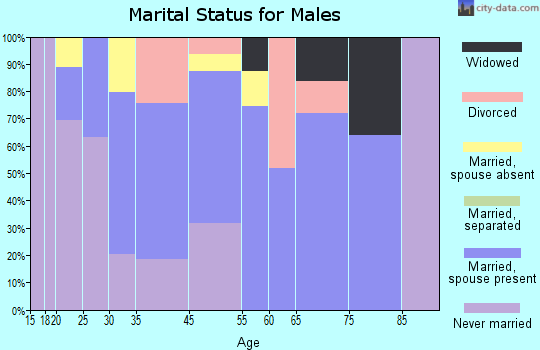 Moravian Falls marital status for males