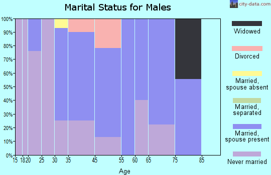 Morven marital status for males
