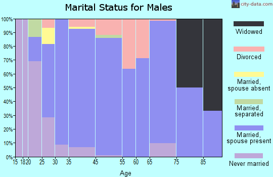 Mountain View marital status for males