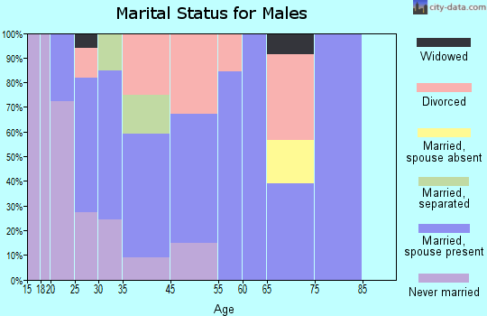 Patterson Springs marital status for males