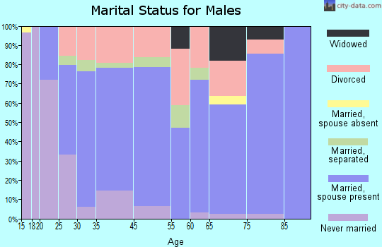 Pilot Mountain marital status for males