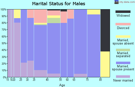 Pleasant Garden marital status for males