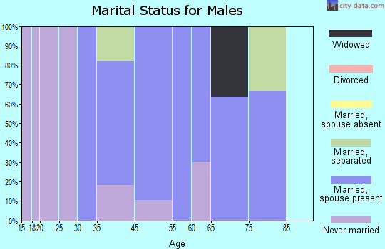 Pollocksville marital status for males