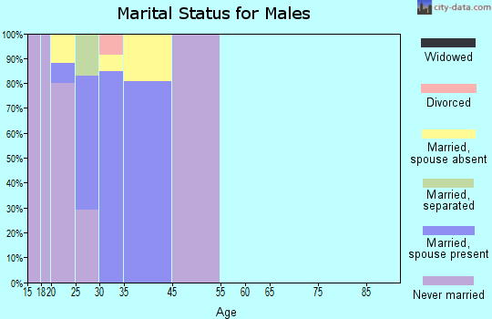 Pope AFB marital status for males