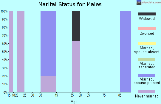 Raemon marital status for males