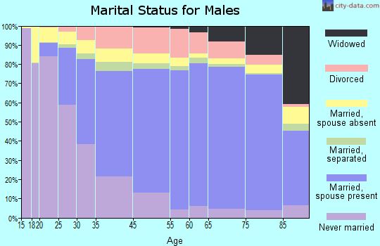 Raleigh marital status for males