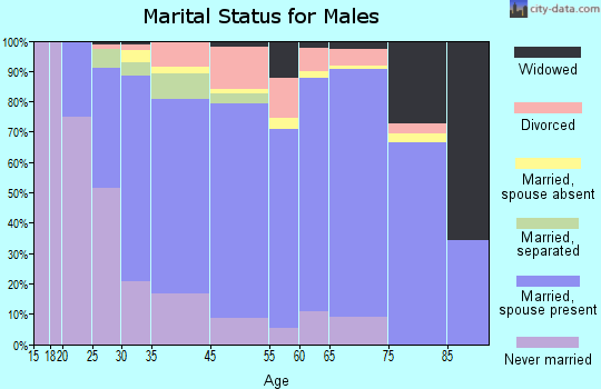 Roanoke Rapids marital status for males