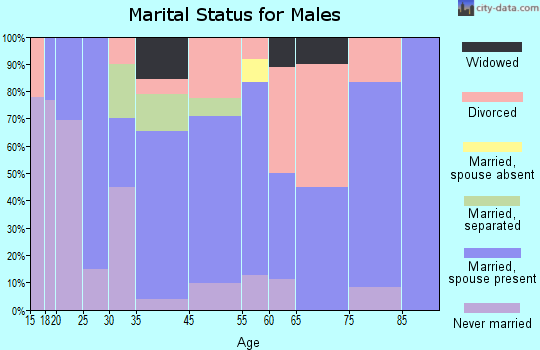 Robbinsville marital status for males