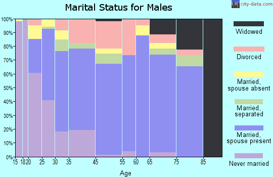 Rural Hall marital status for males