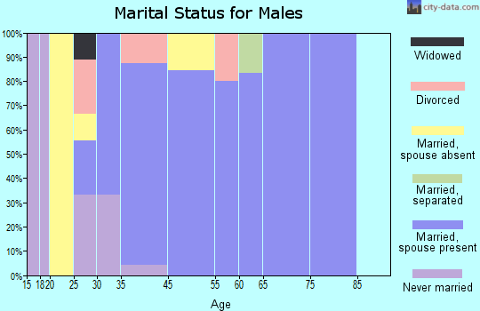 Sandy Creek marital status for males