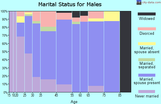 South Gastonia marital status for males